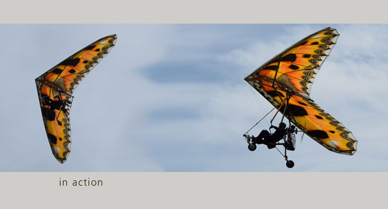 delta-inaction delta-inaction